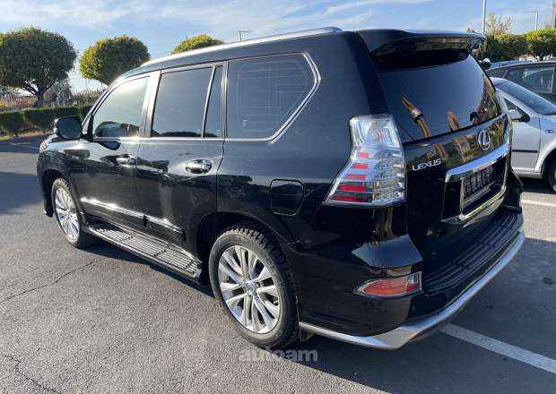Lexus GX 460 2010 — լուսանկար 11