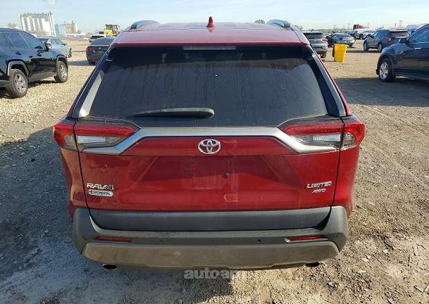 Toyota Rav 4 2020 — լուսանկար 6