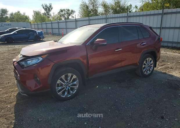 Toyota Rav 4 2020 — լուսանկար 1