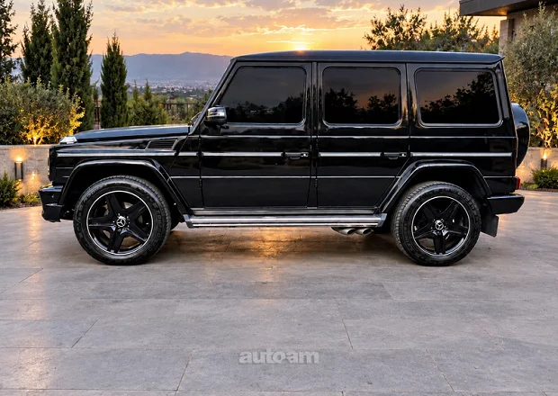 Mercedes-Benz G 500 2010 — լուսանկար 5