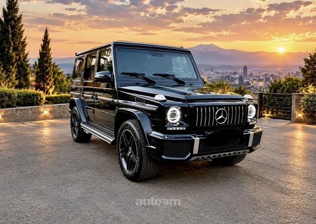 Mercedes-Benz G 500 2010 — լուսանկար 1