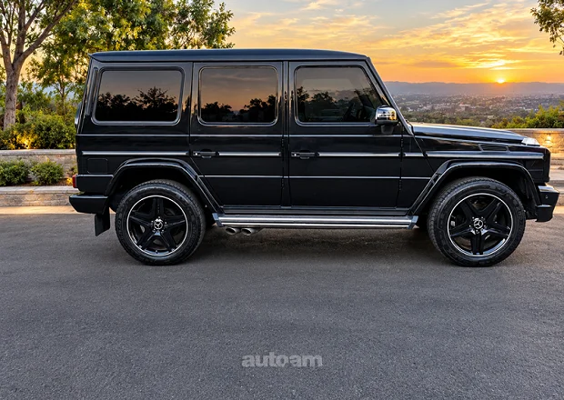 Mercedes-Benz G 500 2010 — լուսանկար 4