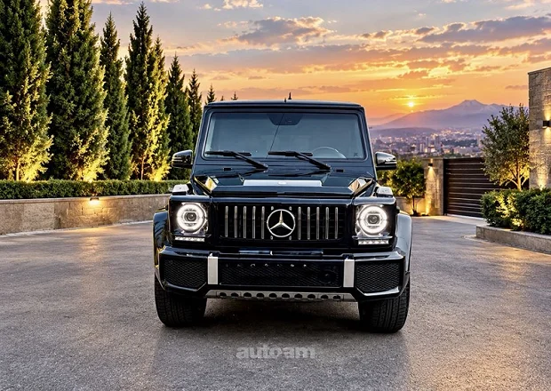 Mercedes-Benz G 500 2010 — լուսանկար 3