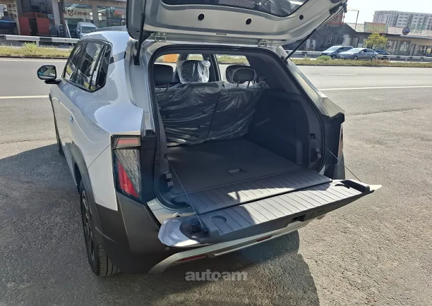 Dongfeng Nammi 01 2025 — լուսանկար 10