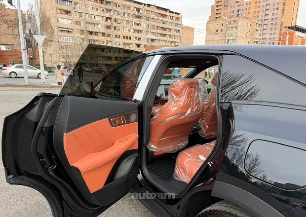 Changan Deepal S07 2025 — լուսանկար 13