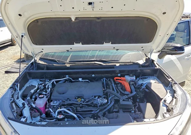 Toyota Rav 4 2025 — լուսանկար 12