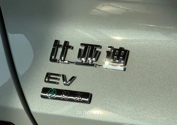 BYD SEA Lion 06 2026 — լուսանկար 8